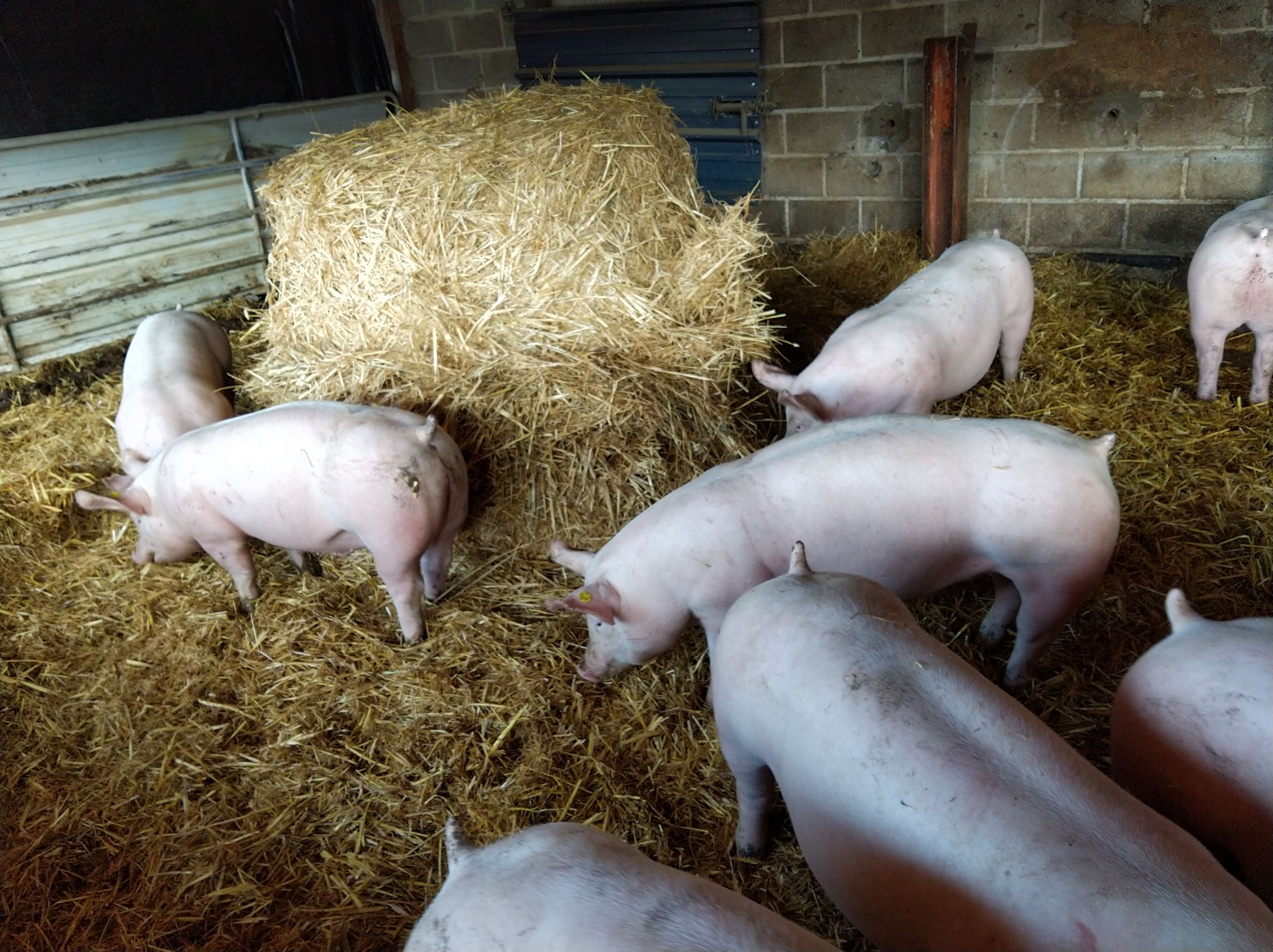 La ferme d'Embrugeat - Lunateli - Lou Gagnou — photo 2