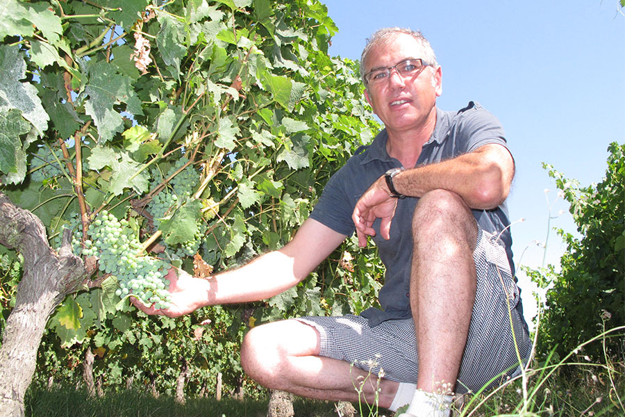 Domaine de la Rochelambert - photo 2