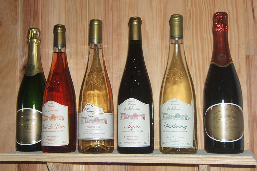 Domaine du Rueau - photo 3