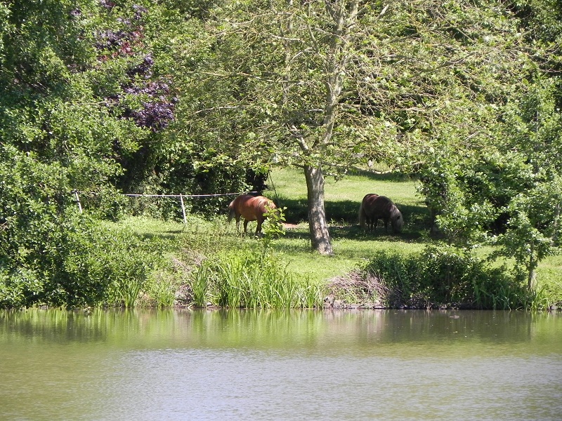 Gites de l'Etang, Beaulieu-sous-Parthenay - photo 18