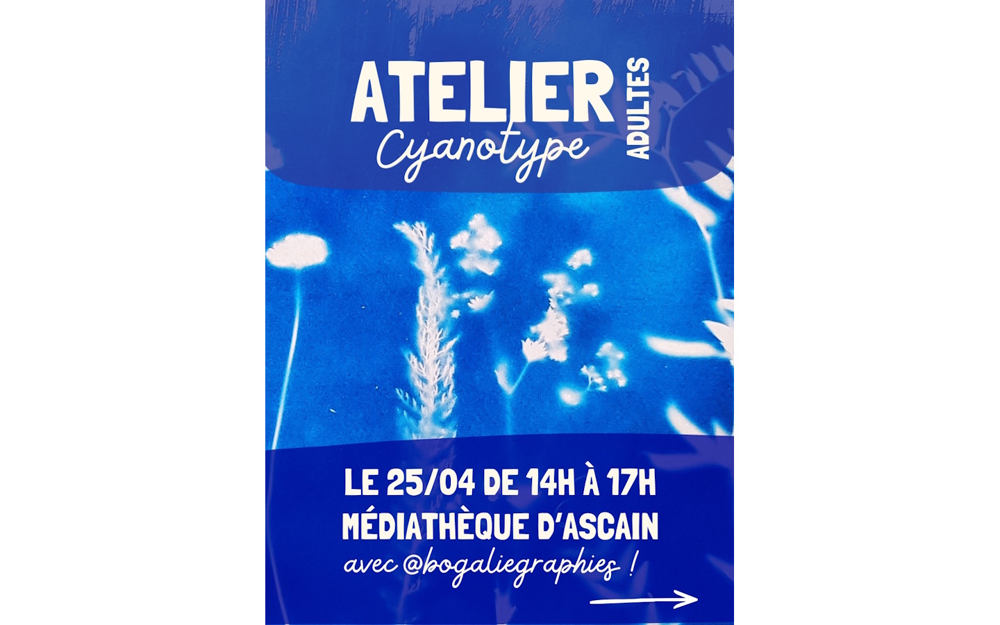 Atelier cyanotype — visuel événement