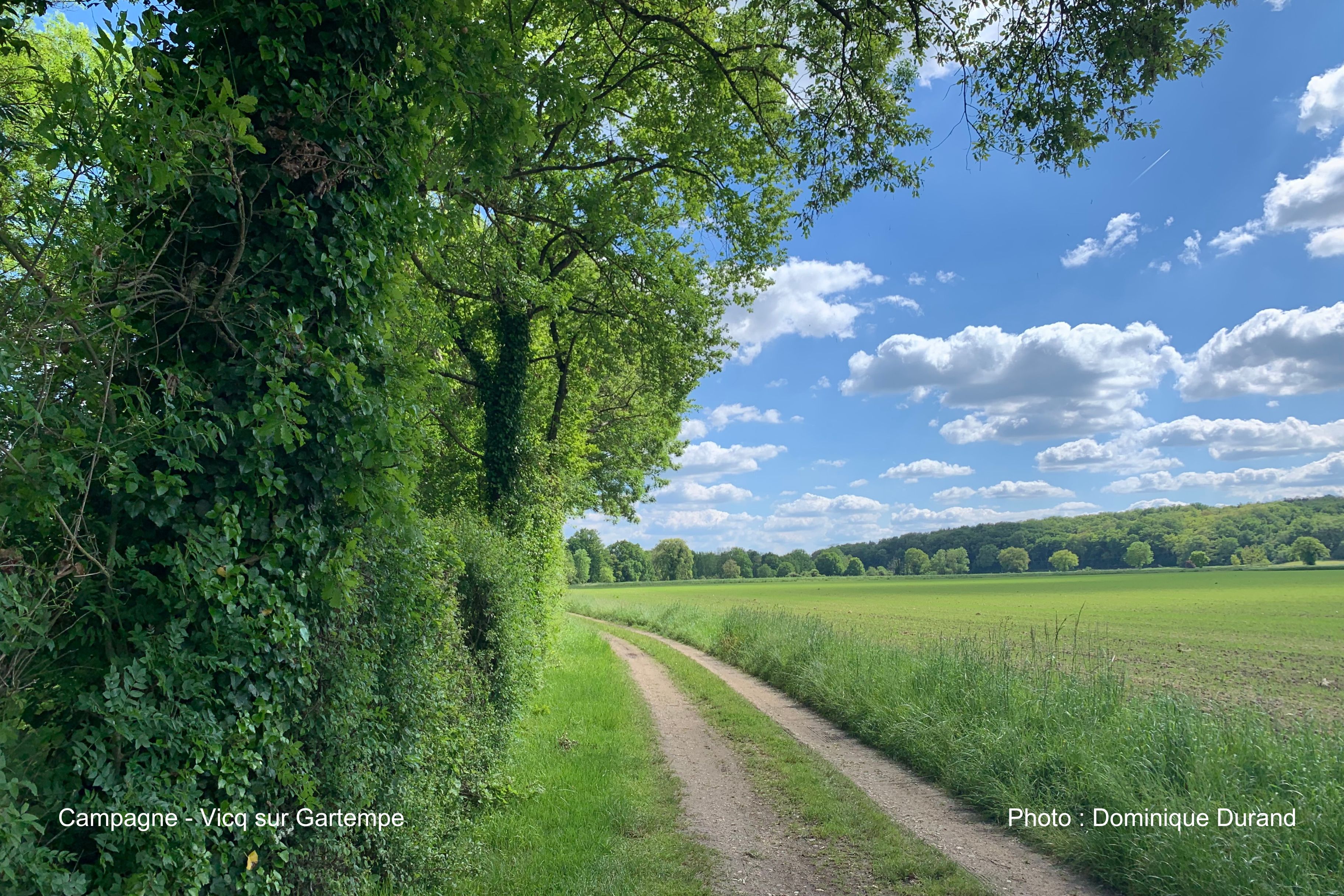Au Val de Gartempe - photo 5