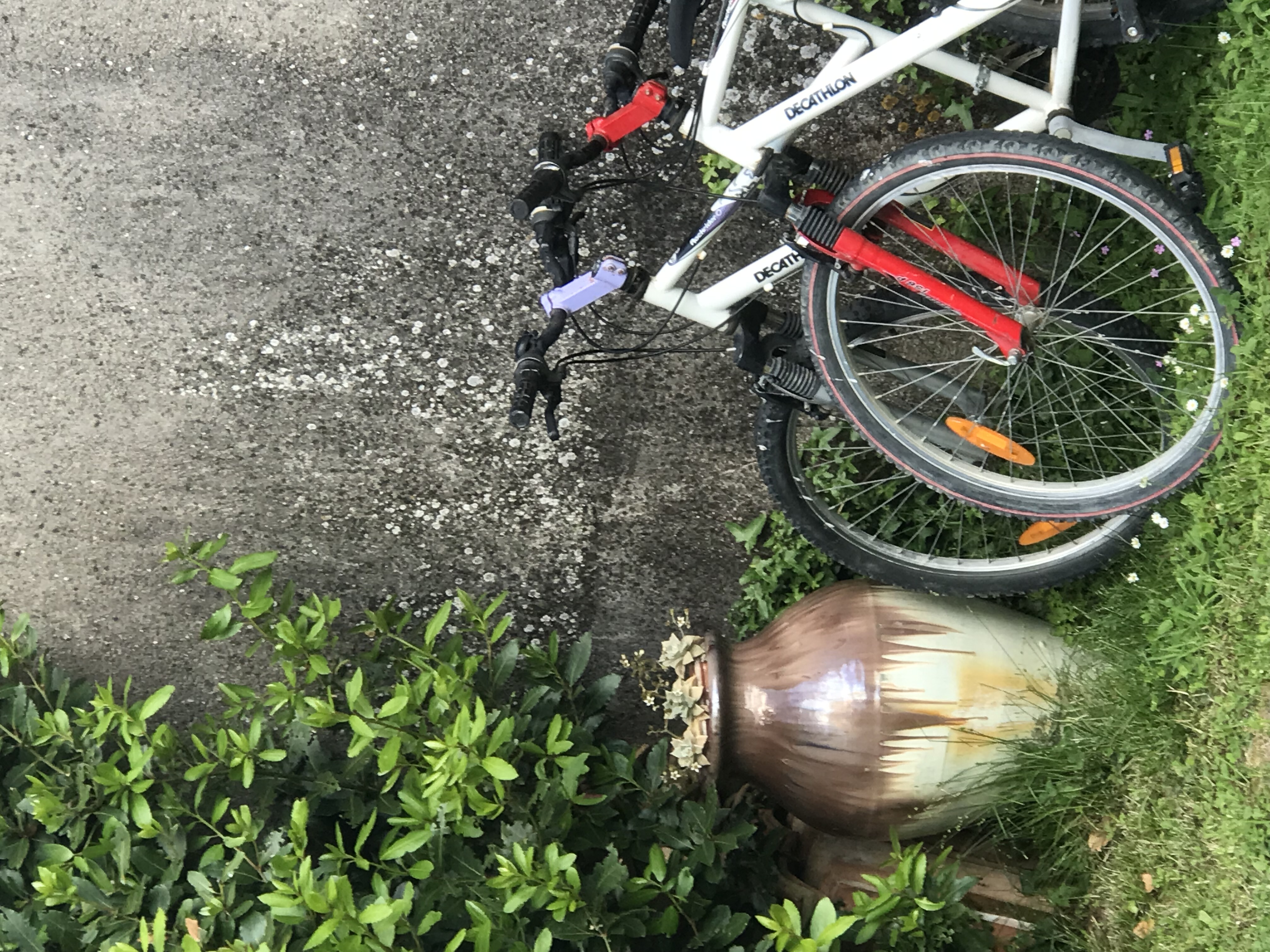 Le Clos des Mésanges, Montastruc - photo 15