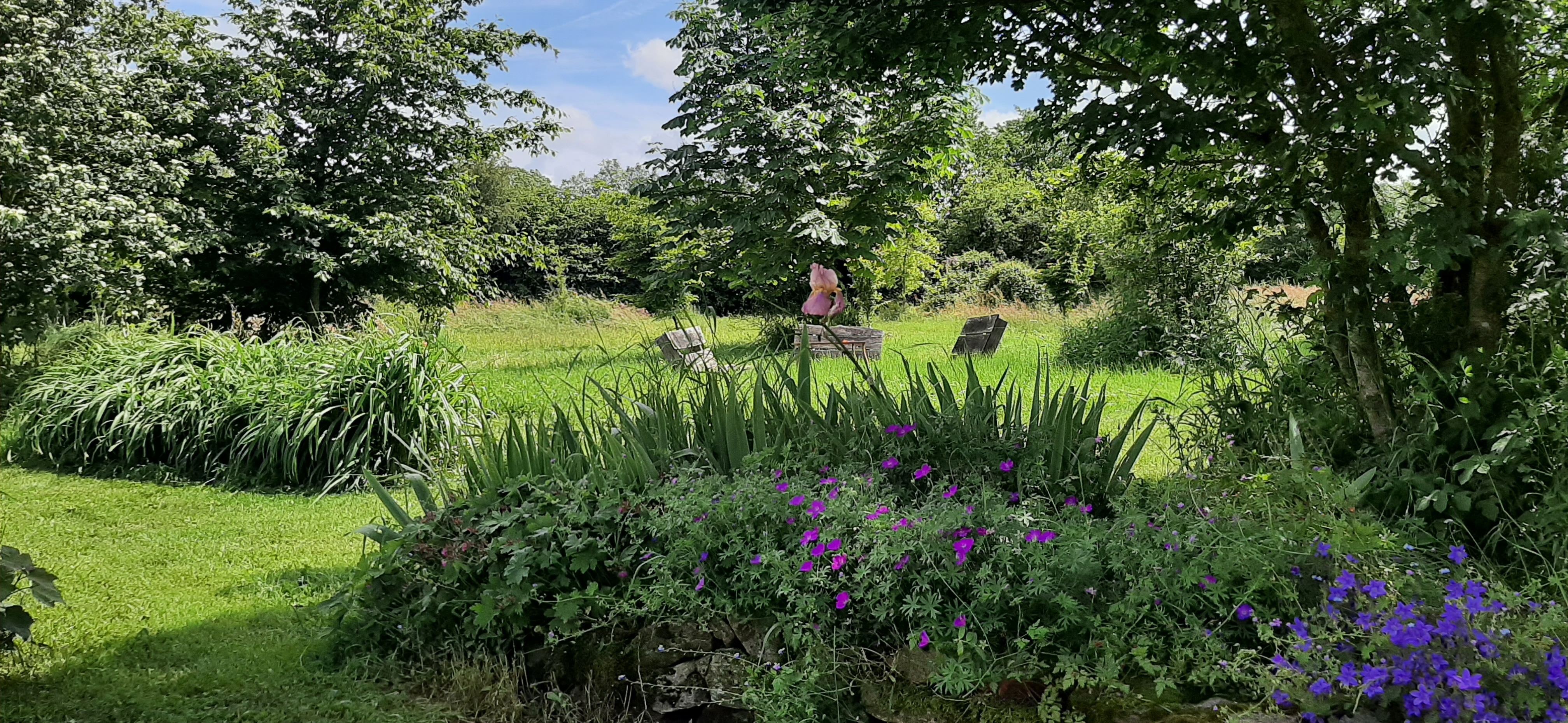 Rendez-vous aux Jardins - Jardin vivrier et paysager de La Bennerie, Bressuire