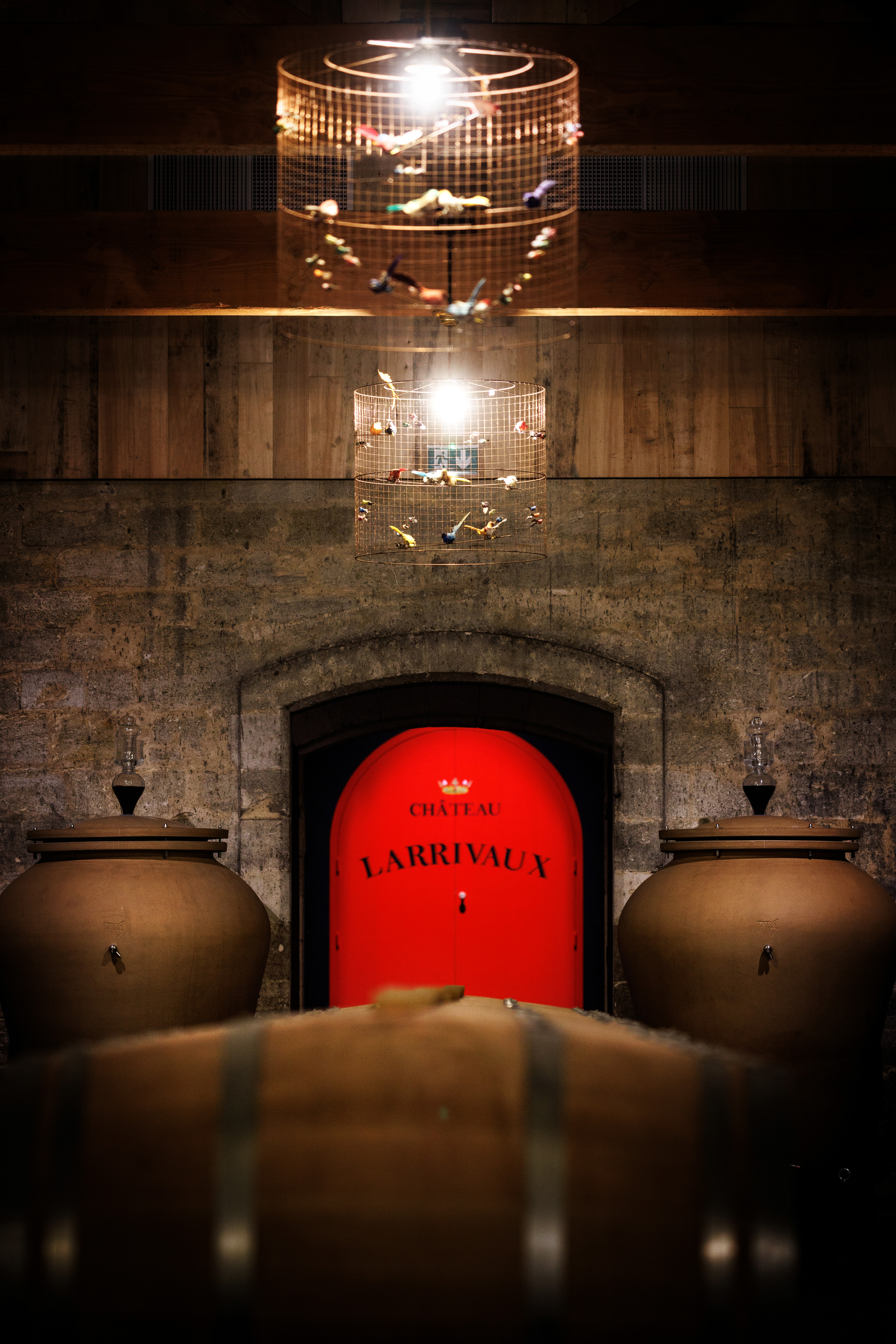 Château Larrivaux - photo 2