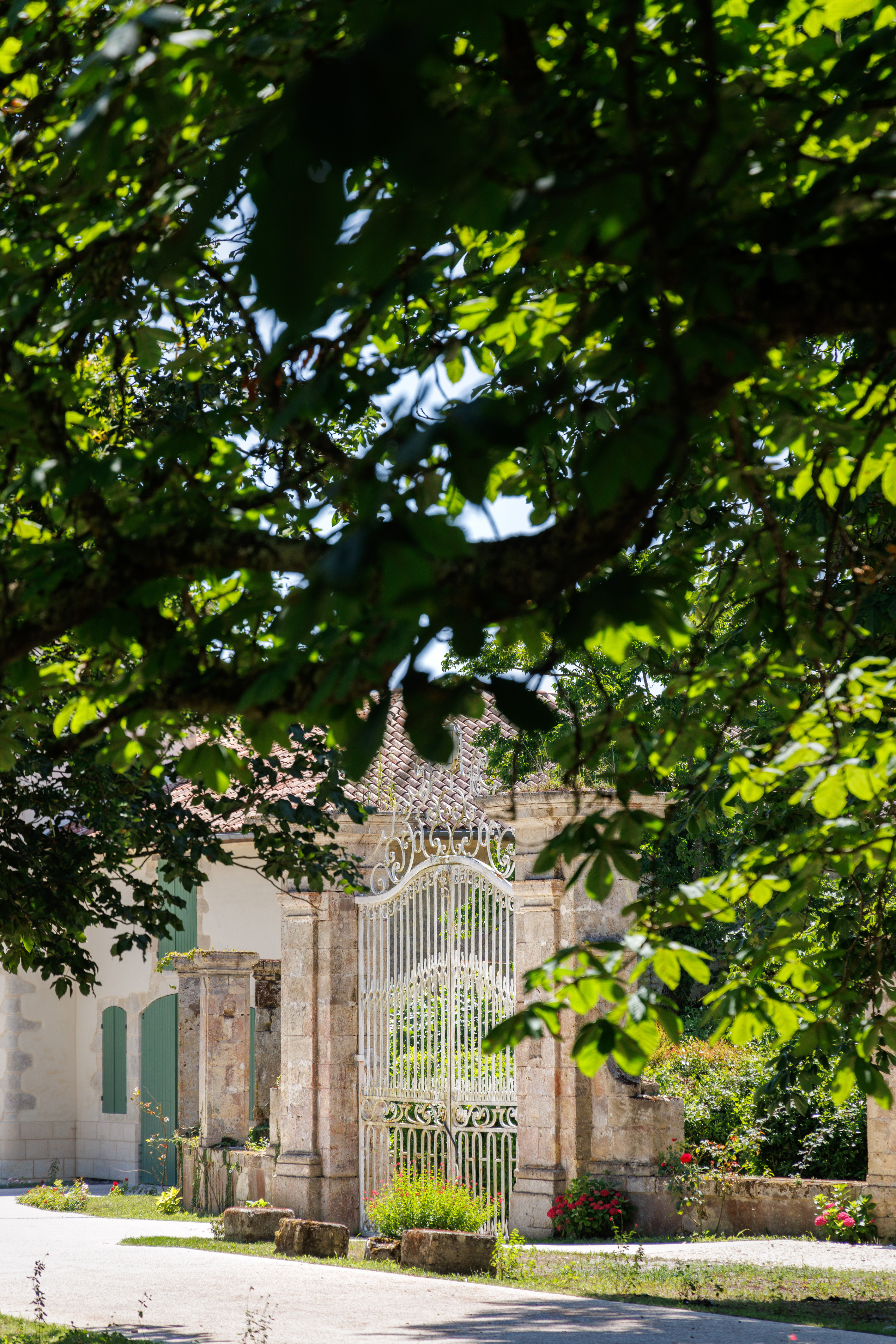 Château Larrivaux - photo 5