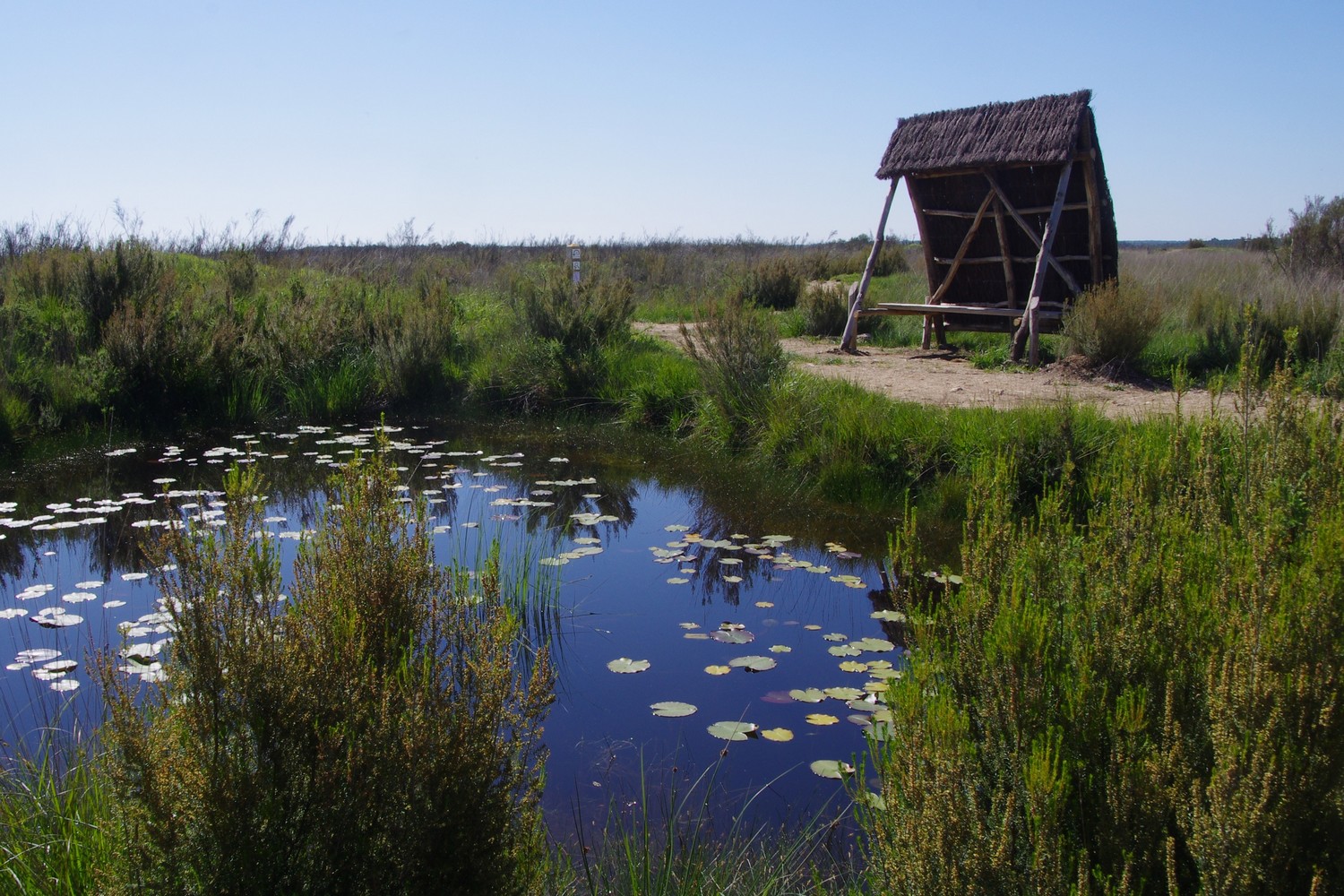 Réserve Naturelle Nationale du Pinail, Vouneuil-sur-Vienne