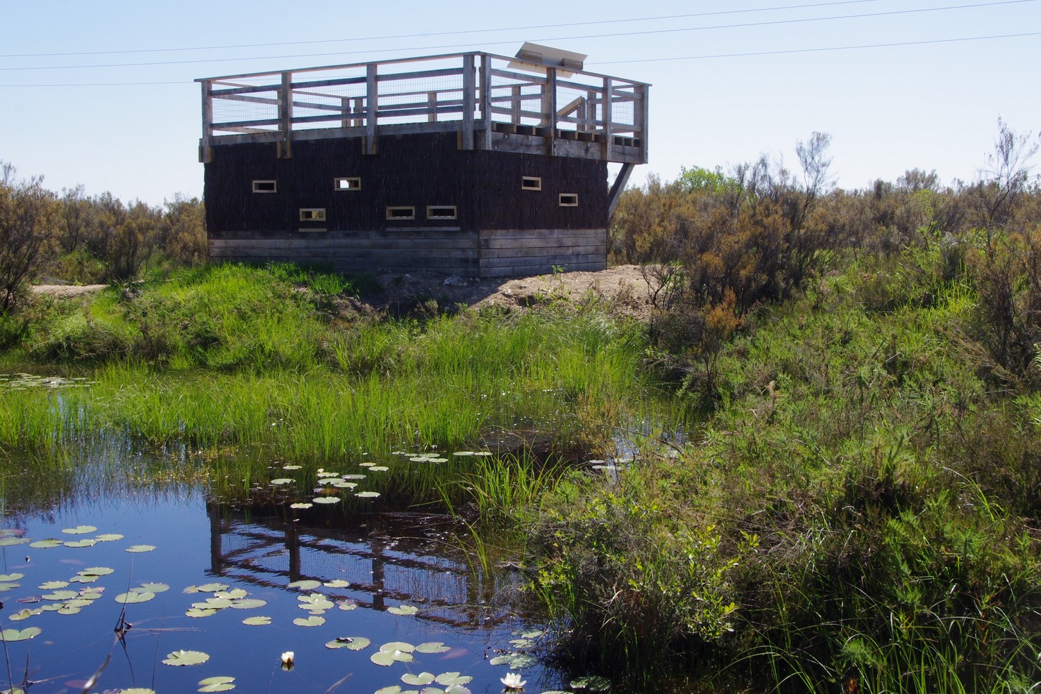 Réserve Naturelle Nationale du Pinail, Vouneuil-sur-Vienne - photo 4