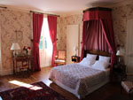 Château de la Plante, Thuré - photo 4