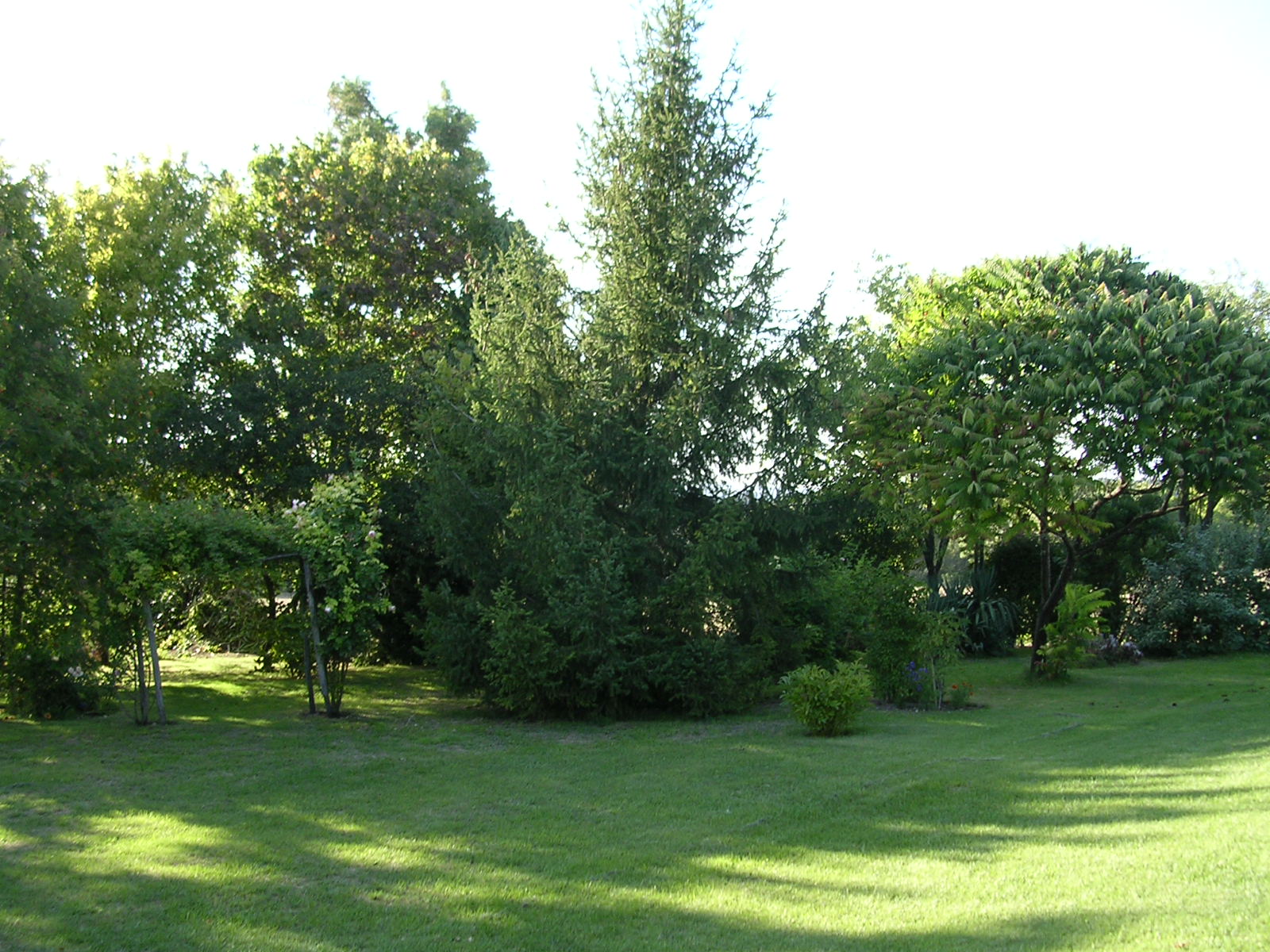 La Pocterie, Vouneuil-sur-Vienne - photo 5