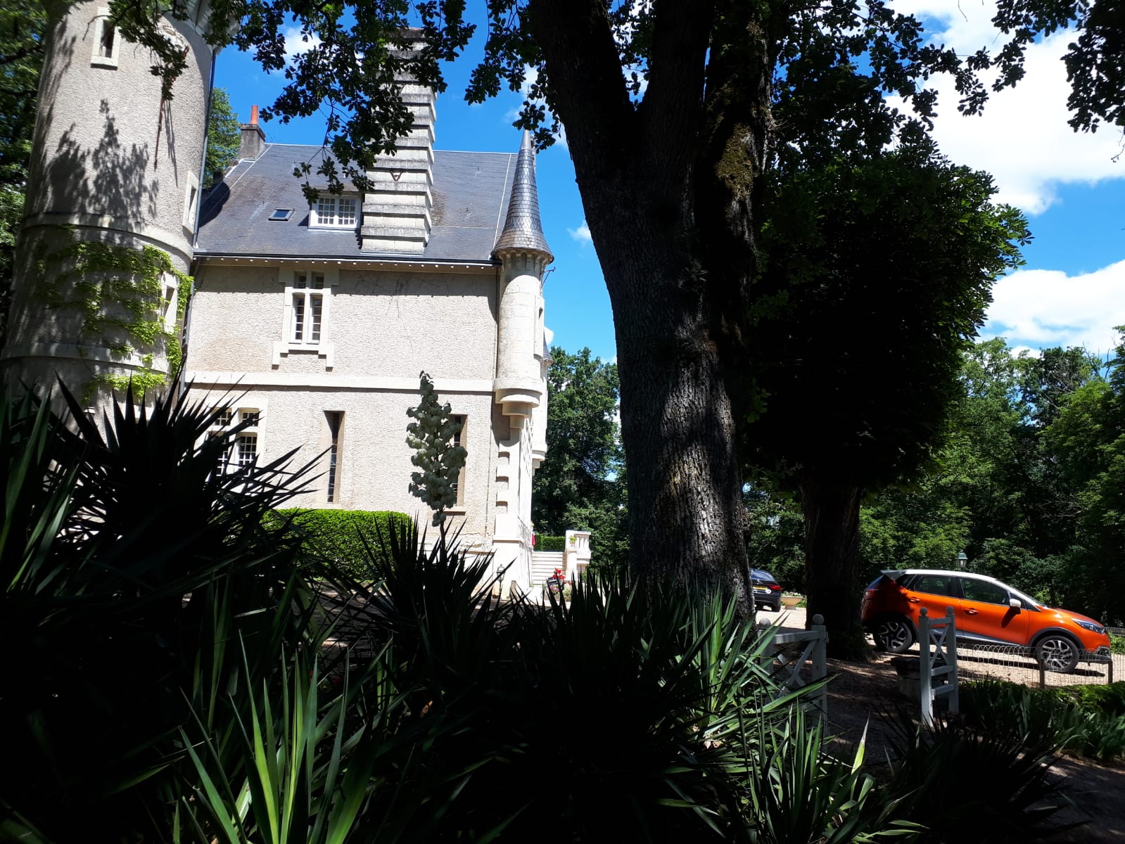 Château  Picol, Lencloître - photo 12