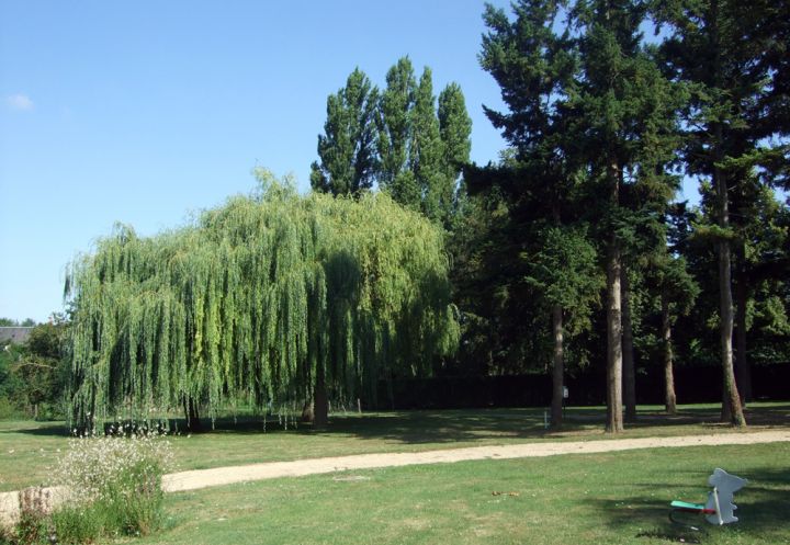 Camping des Ormes, Les Ormes - photo 6