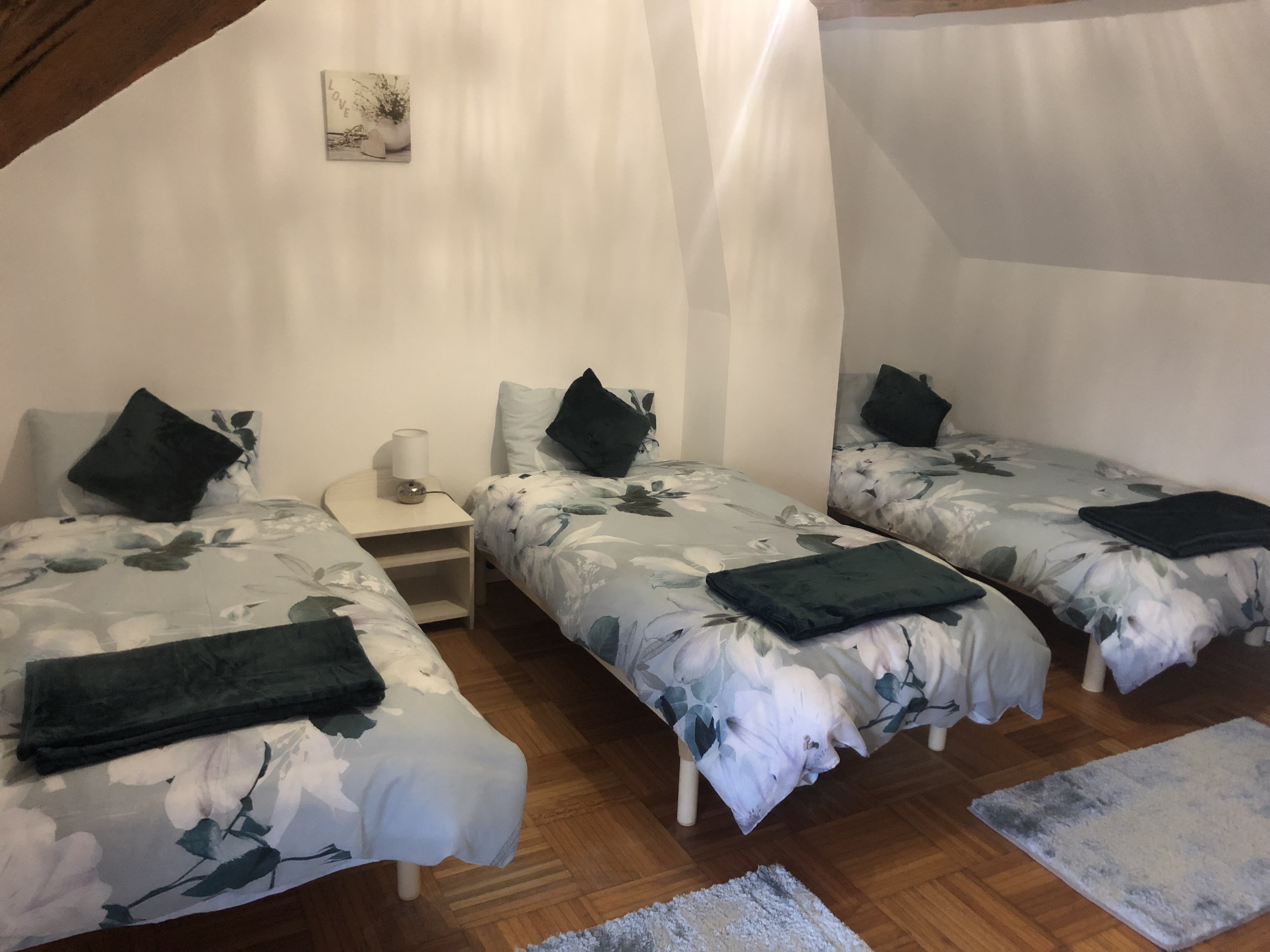 Les Vieux Chênes - Gîte Chambord, Oyré