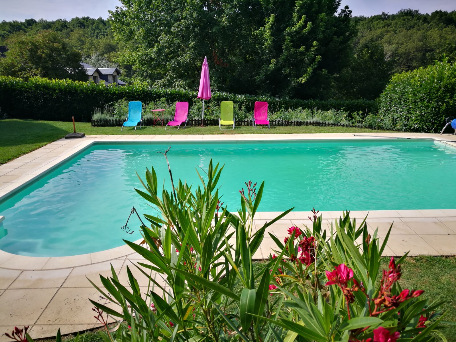 Domaine des Petites Minaudières, Senillé-Saint-Sauveur - photo 23