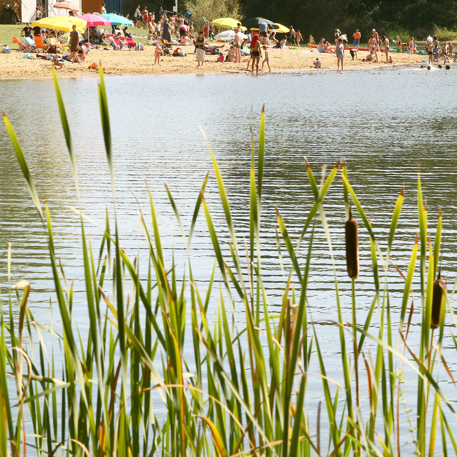 Lac de la Forêt, Châtellerault