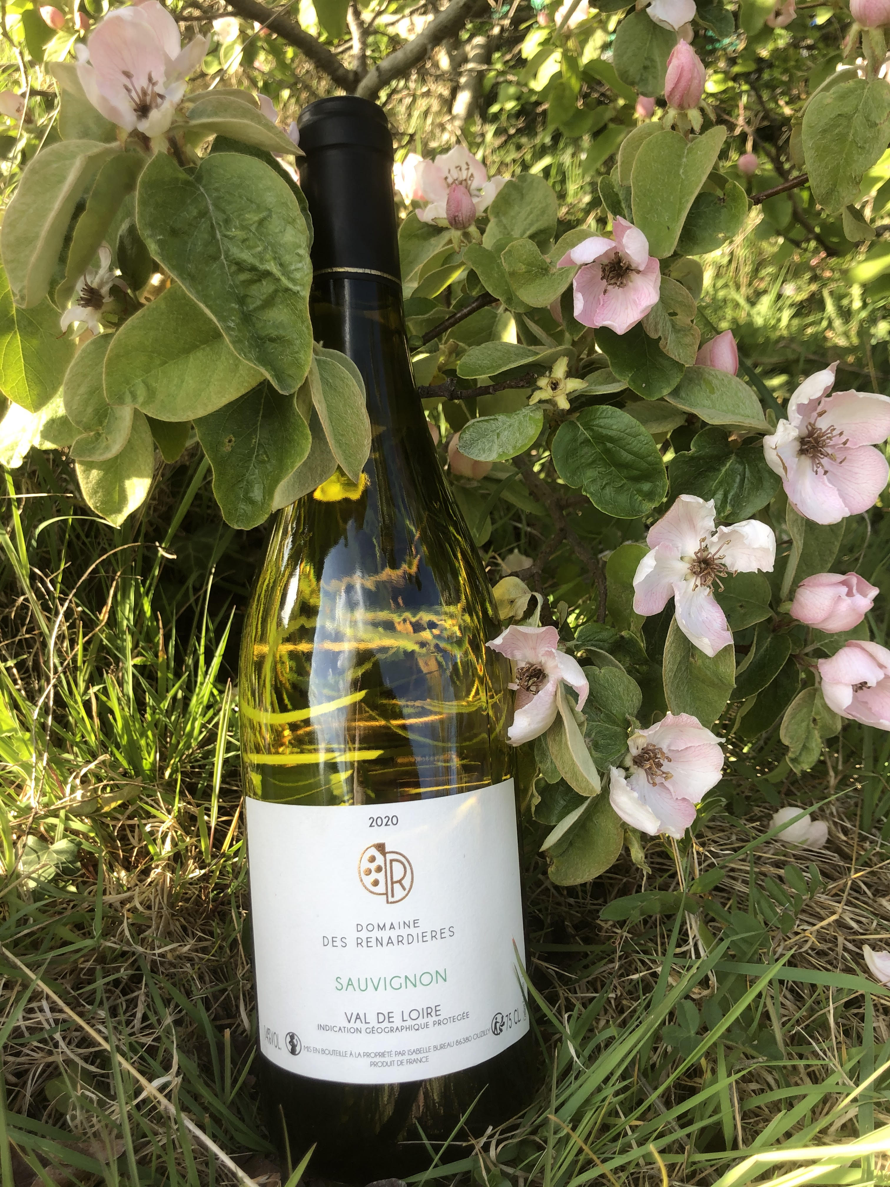 Domaine des Renardières — photo 3
