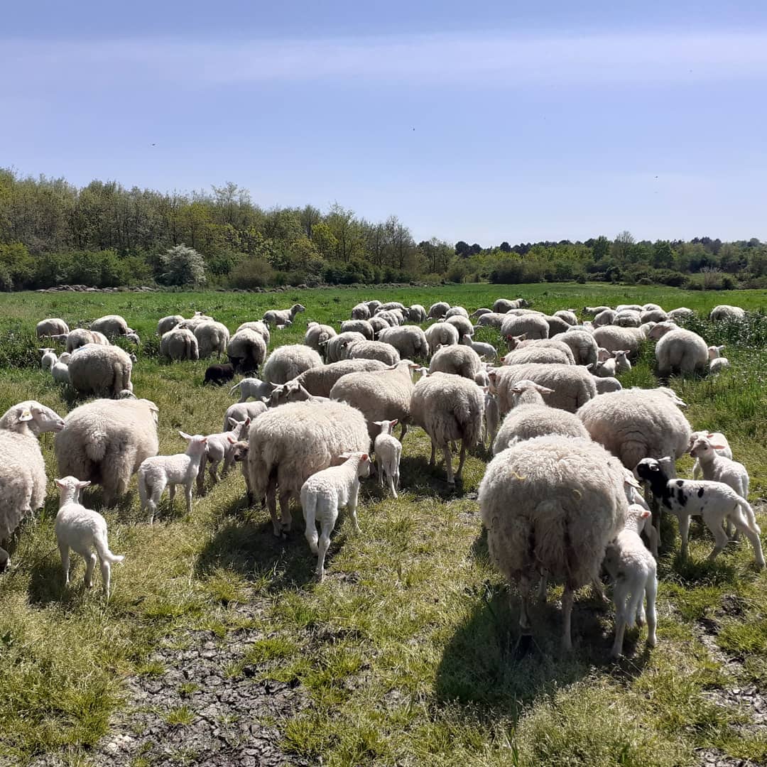 Au Paradis de Senillé