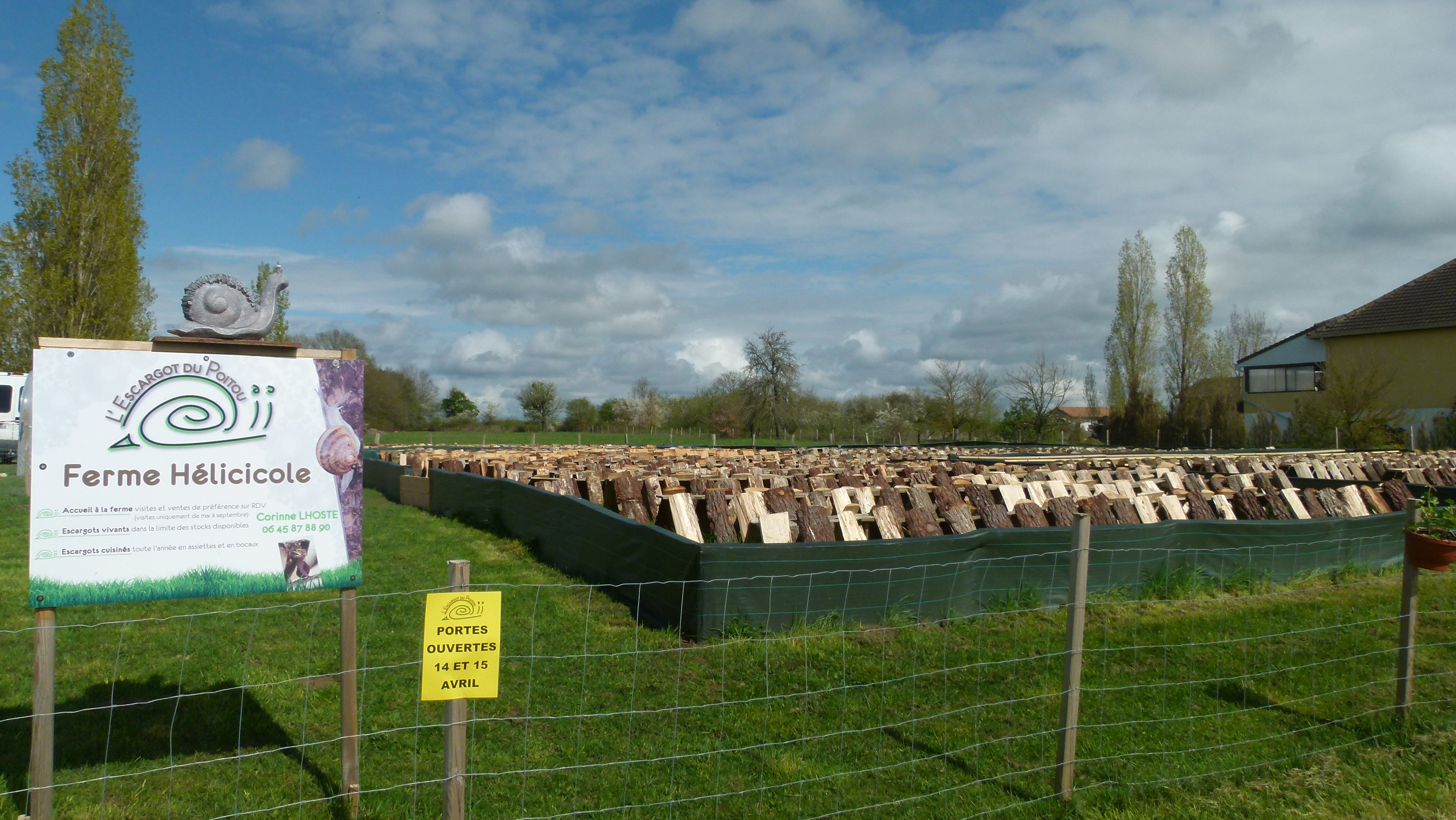 L'Escargot du Poitou — photo 2