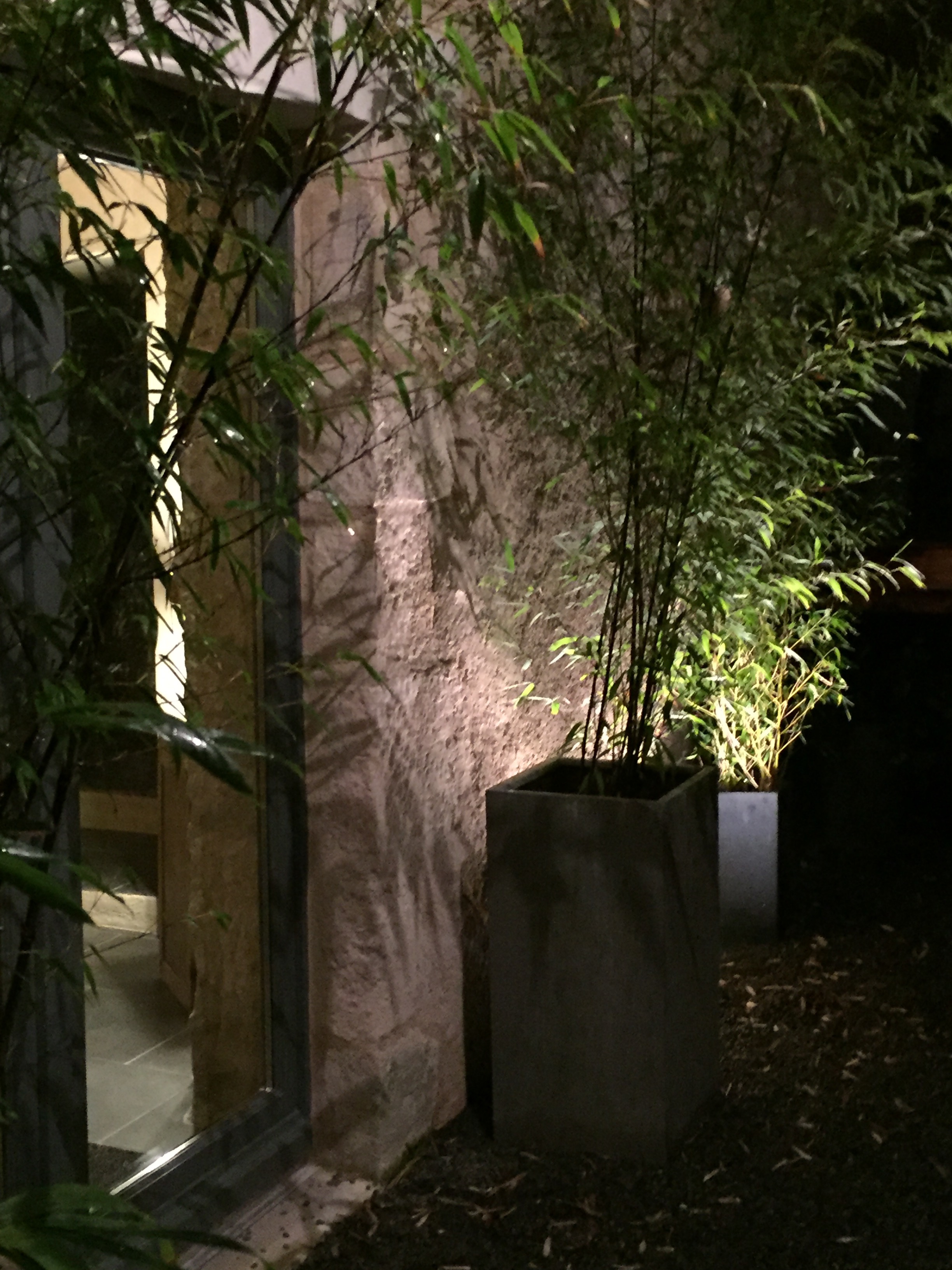 La Forge, Angles-sur-l'Anglin - photo 2
