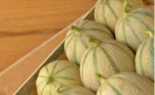 La Gourmandise du Poitou — photo 2
