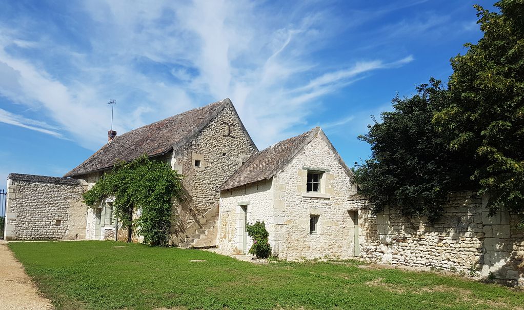 Les Vignes