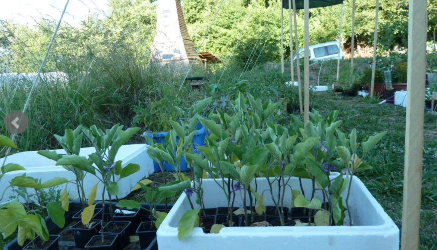 Jardin aux orobanches — photo 2