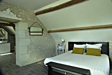 La Vigenna : Pierre d'Argenson, Les Ormes - photo 4