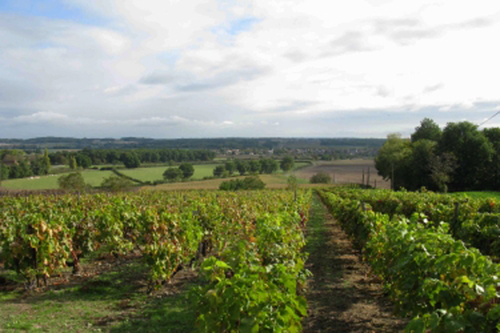 Collines et Villages - Circuit n°57, Vicq-sur-Gartempe - photo 3