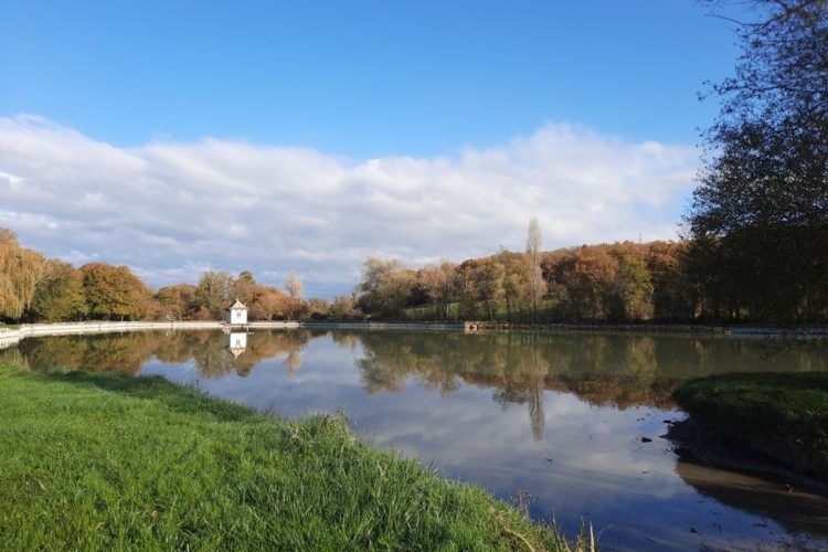 Etang de pêche de Pleumartin
