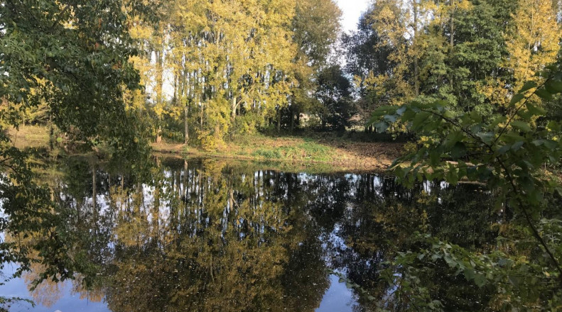 Rive de Gartempe, Vicq-sur-Gartempe - photo 3