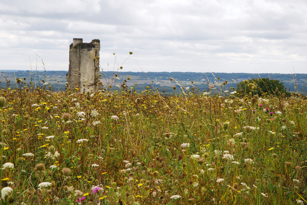 Sur le Haut Clairvaux, Scorbé-Clairvaux