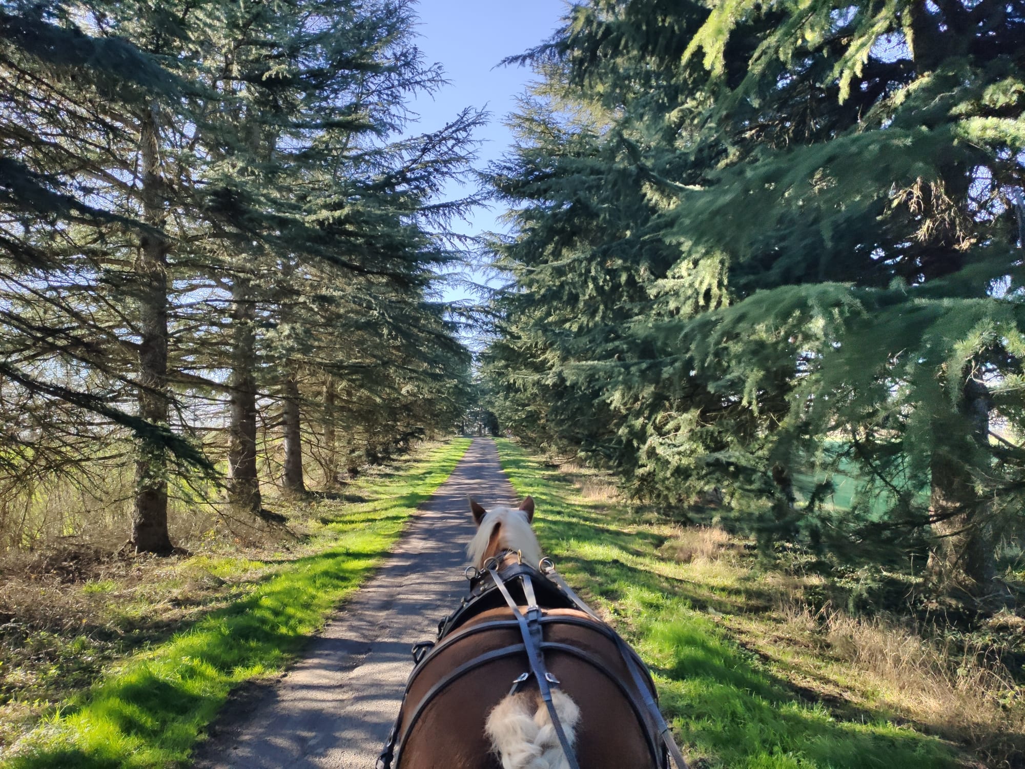 Au Pas de Cadence - photo 2