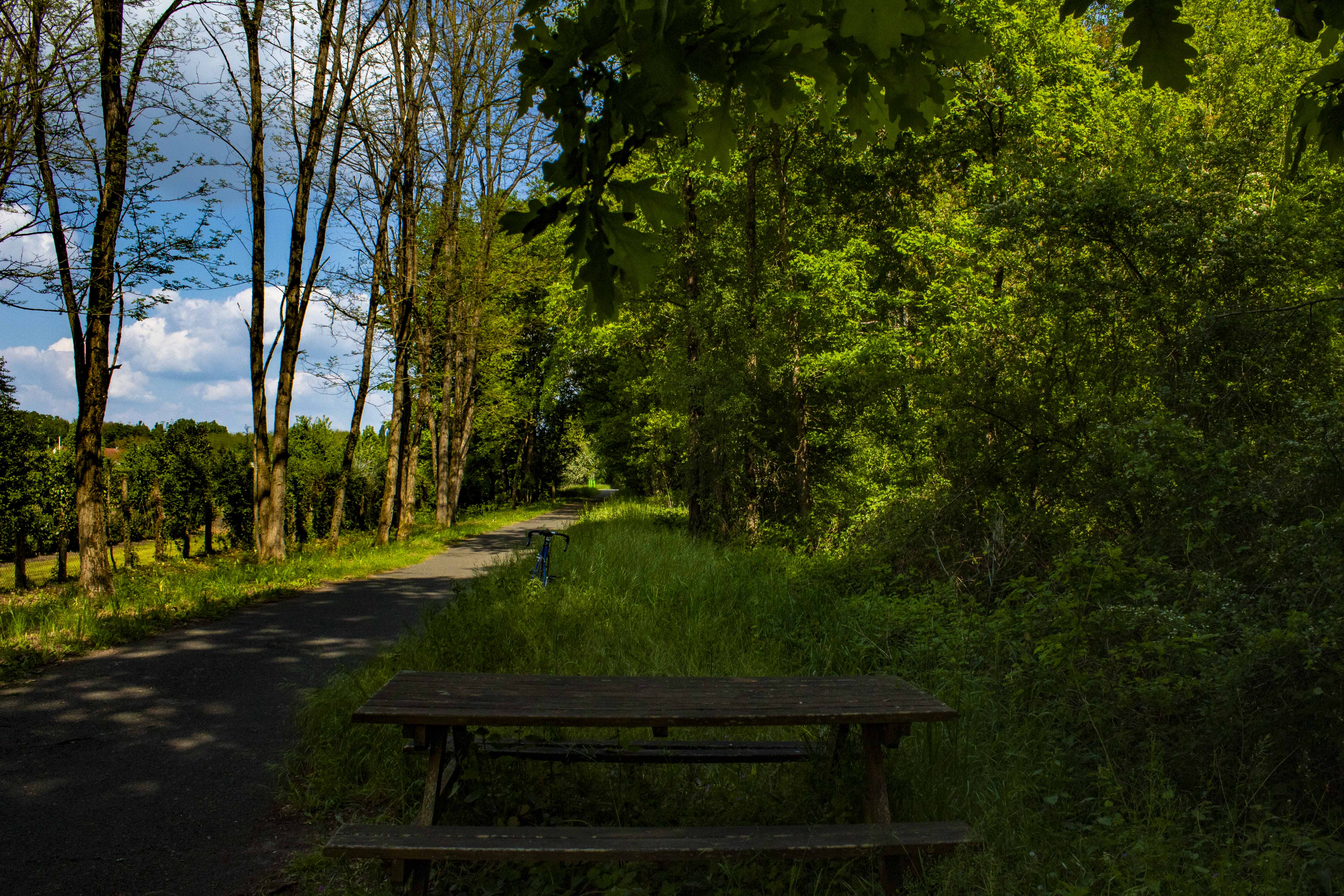 Aire de pique-nique ligne verte à Thuré-Besse - photo 2