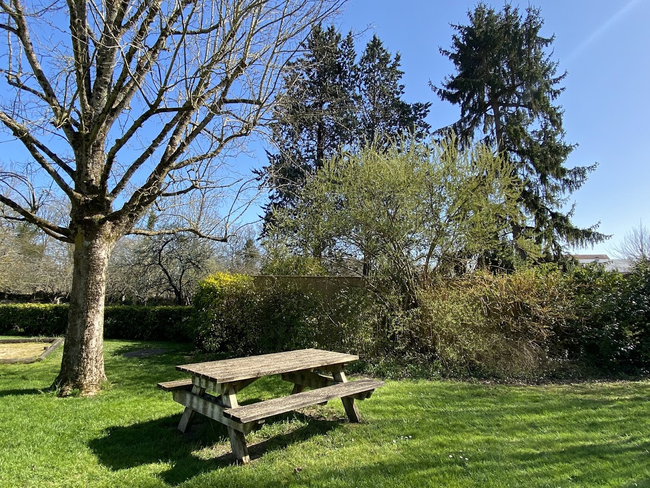 Aire de loisirs Senillé Saint-Sauveur