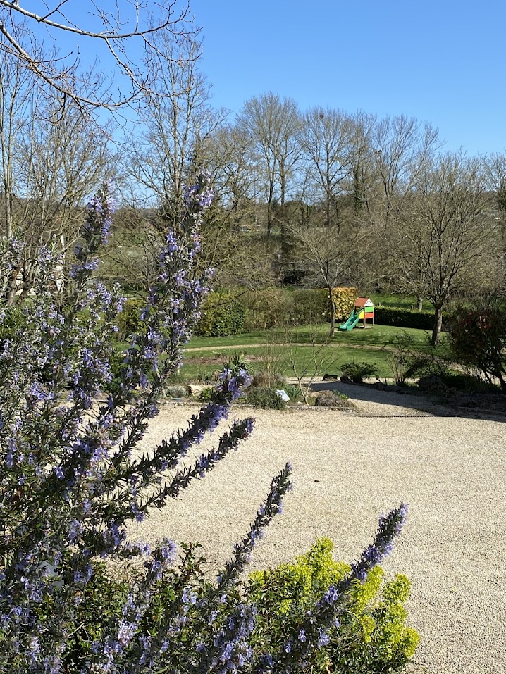 Aire de loisirs Senillé Saint-Sauveur, Senillé-Saint-Sauveur - photo 2