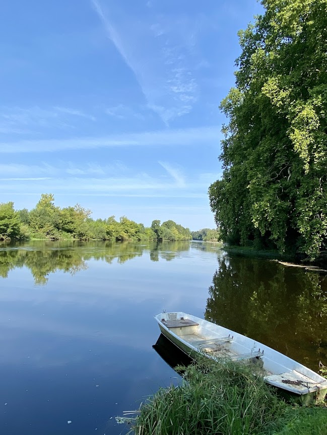 Aire de pique-nique des Ormes - photo 3