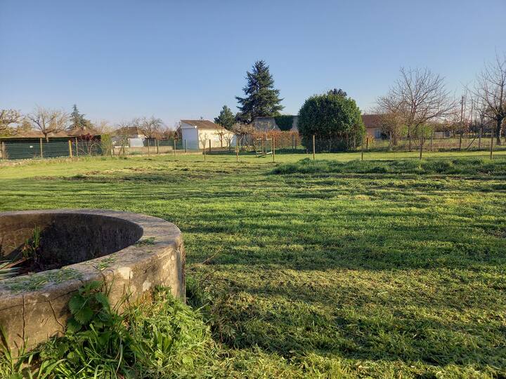 La Berthonalière, Naintré - photo 3