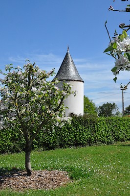 Chambres d'hôtes Le Petit Puy Loup, Saint-Amand-sur-Sèvre - photo 9