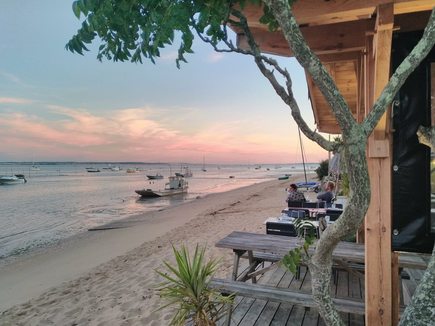 Dégustation la Conche - photo 4