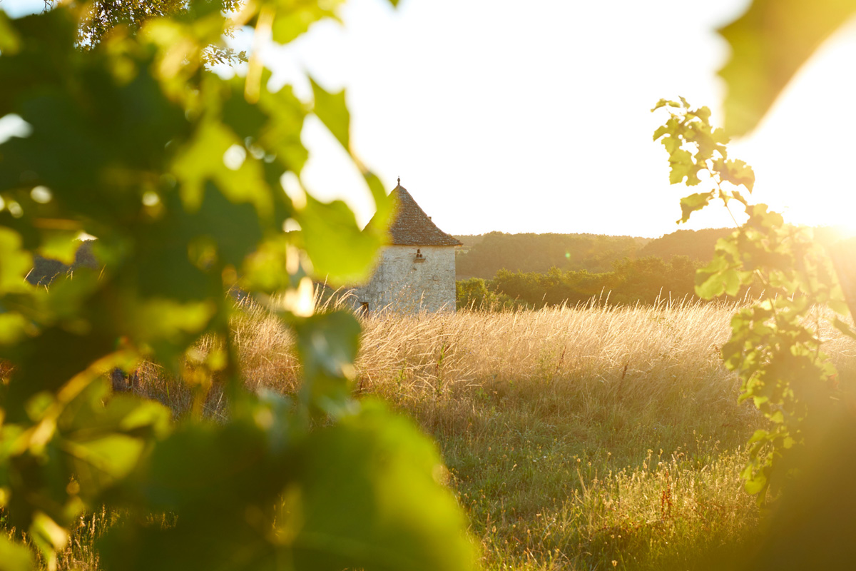 Vignoble des Verdots | Dîner dans les vignes