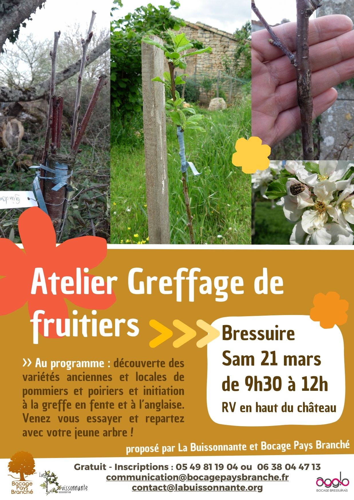 Sortie nature - Atelier greffage d'arbres fruitiers