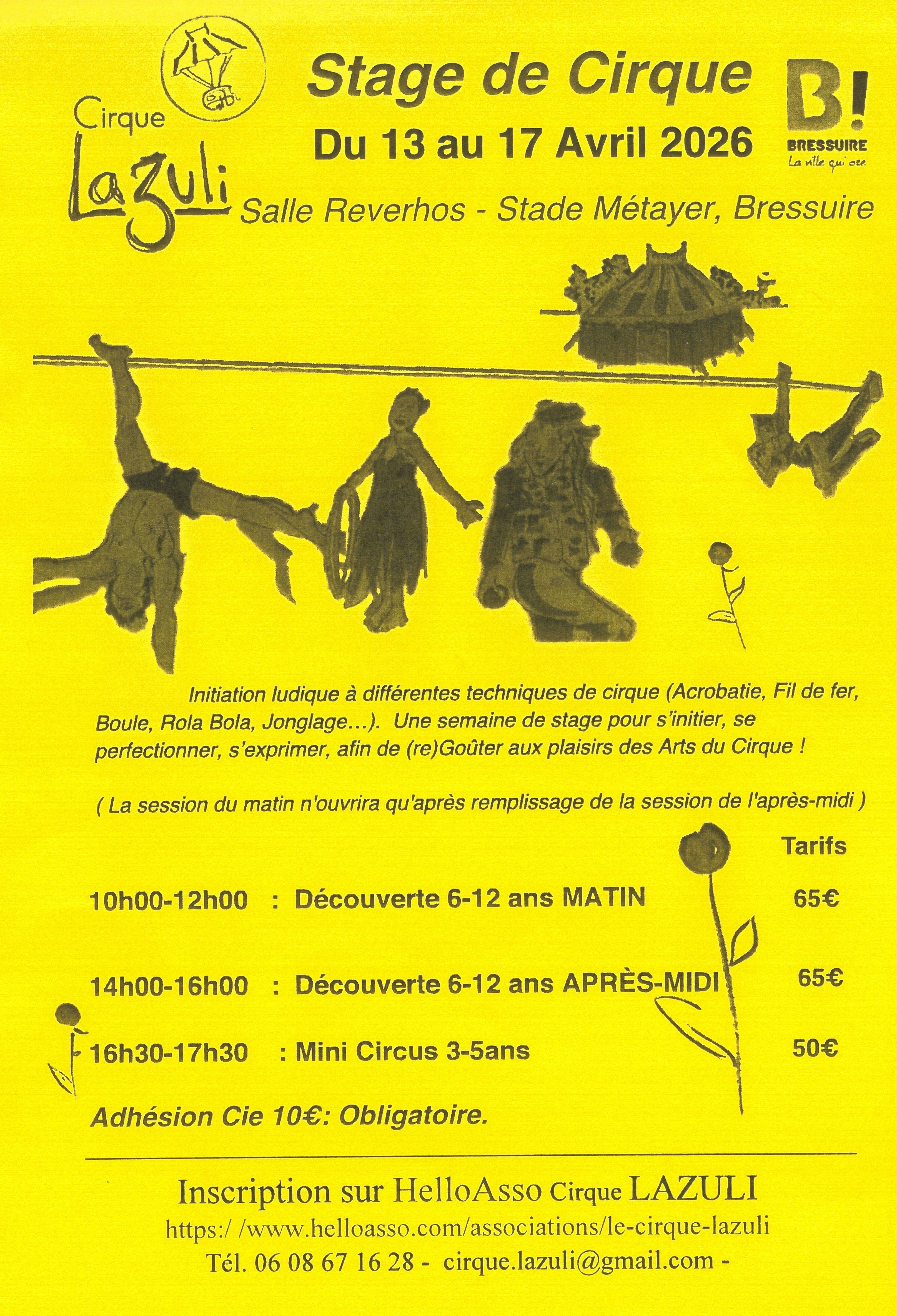 Stage de cirque