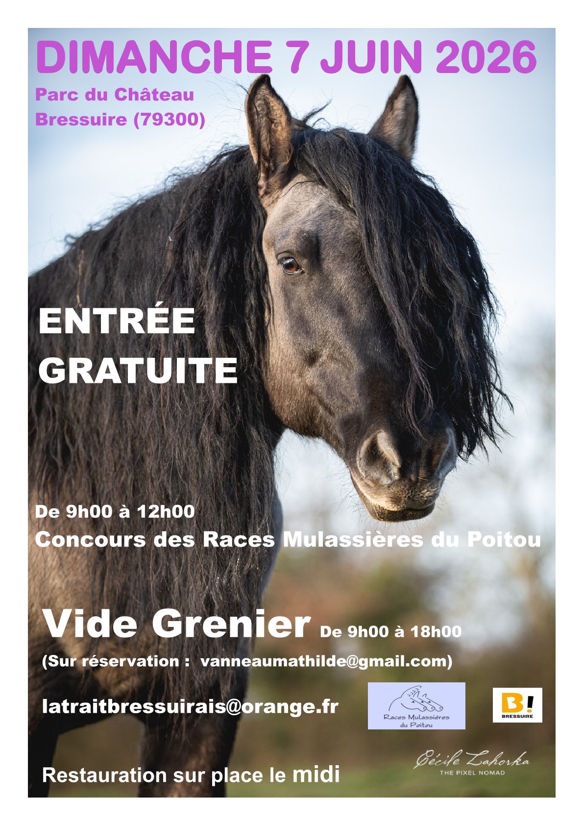 Concours des races mulassières du Poitou et vide-grenier — visuel événement