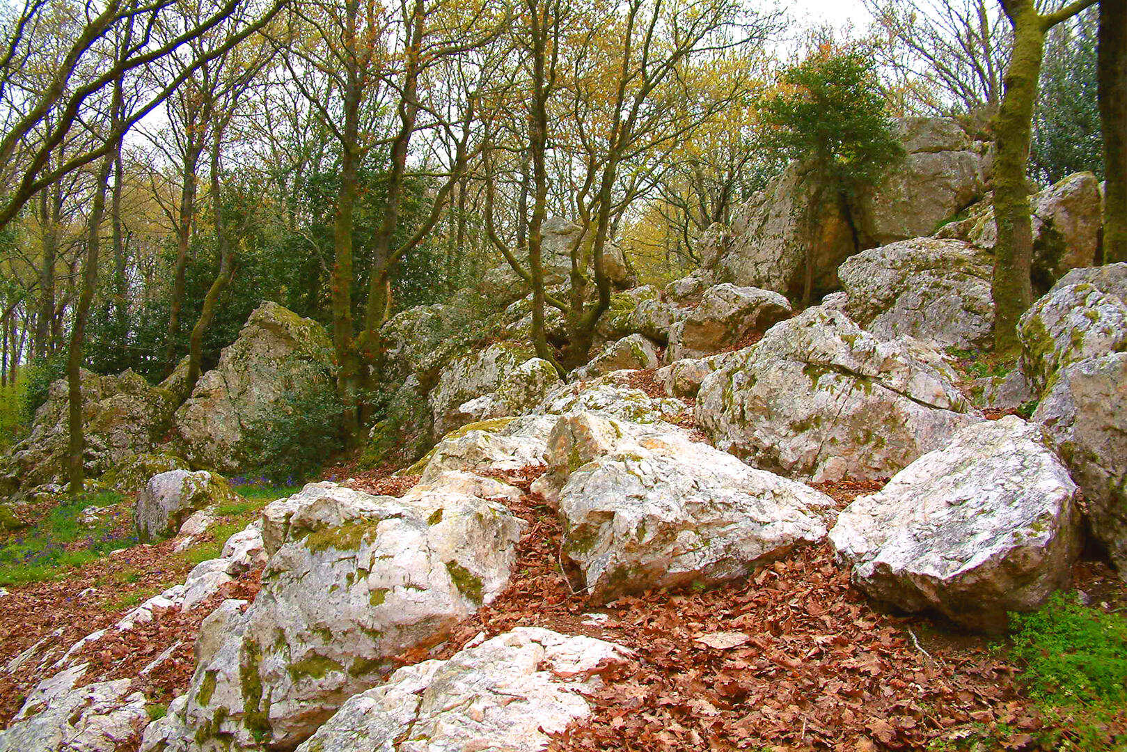 Visite - Site de Pyrome