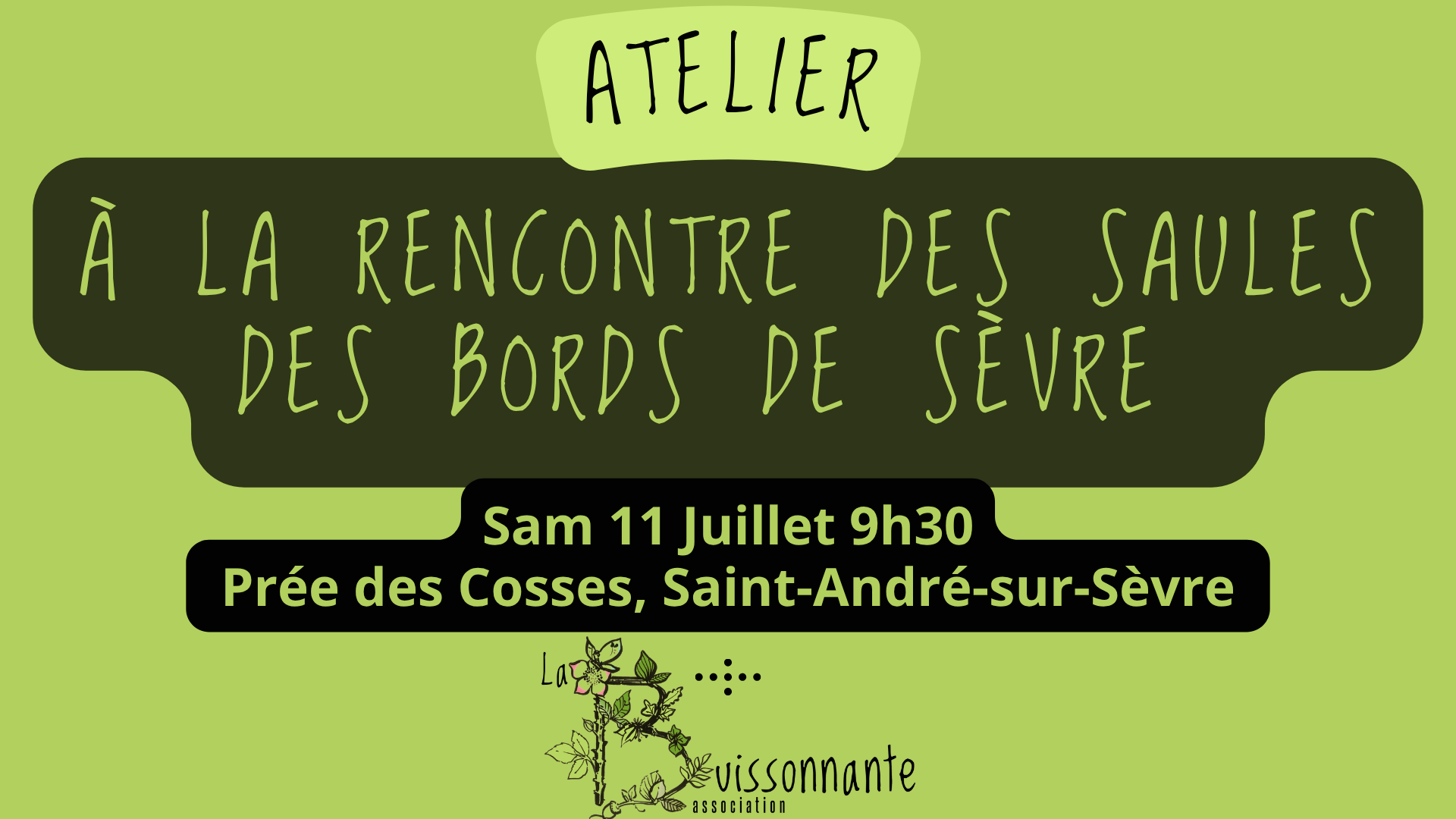 Sortie nature - Découvrez les saules des bords de Sèvre