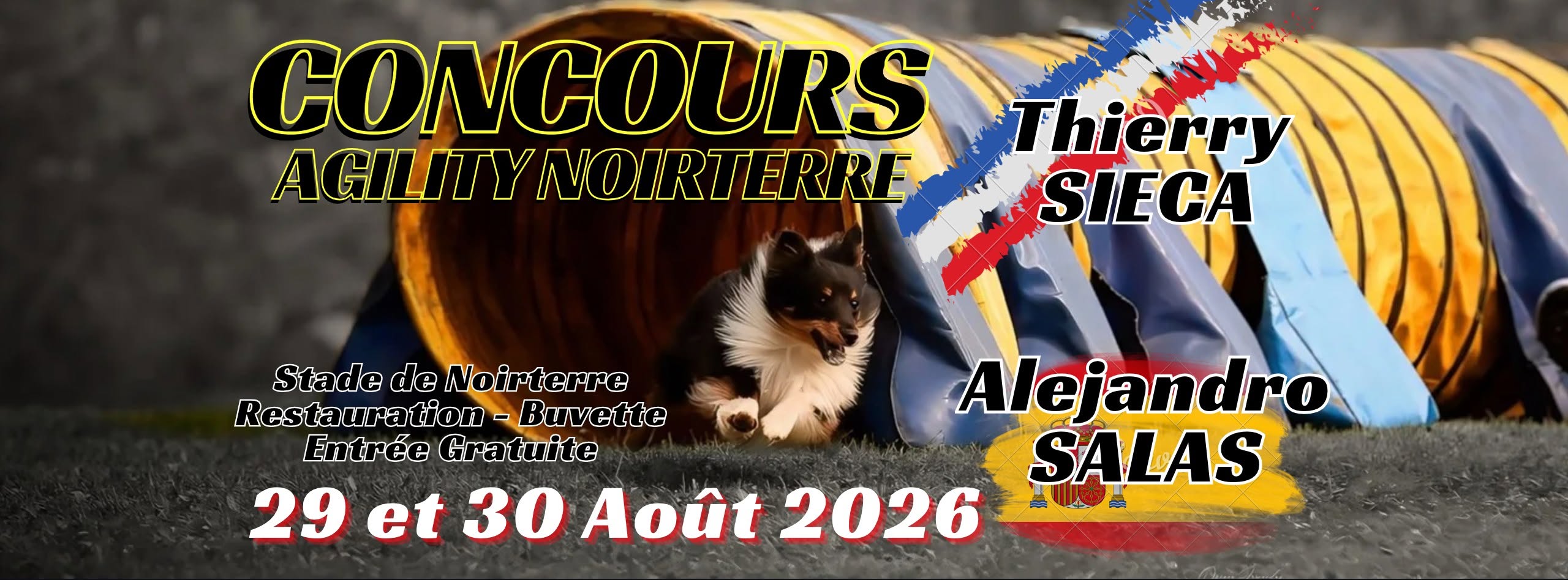Concours d'agility