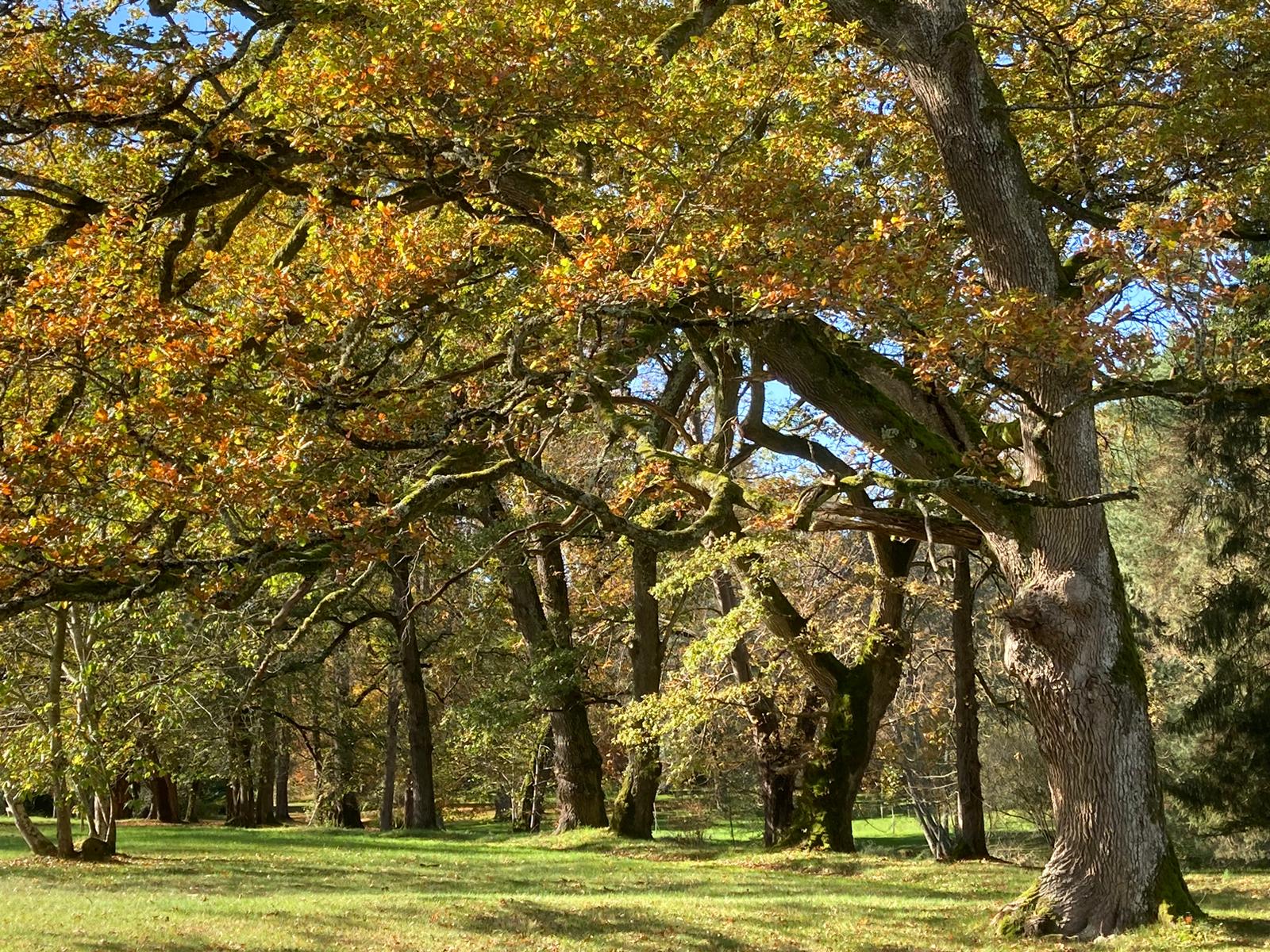 Parc du Château de la Chezotte, Ahun - photo 2