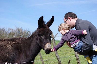 Gîte "Le Moulin de Buzenet", Nueil-les-Aubiers - photo 2