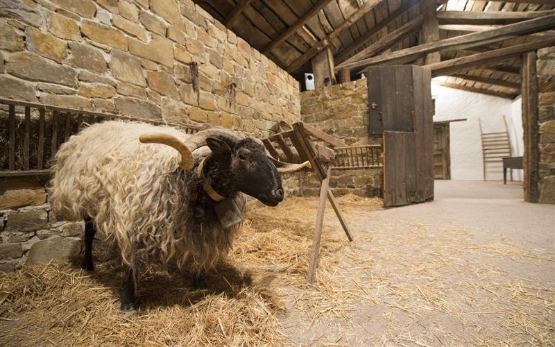 Musée Basque du pastoralisme et du fromage - Agour