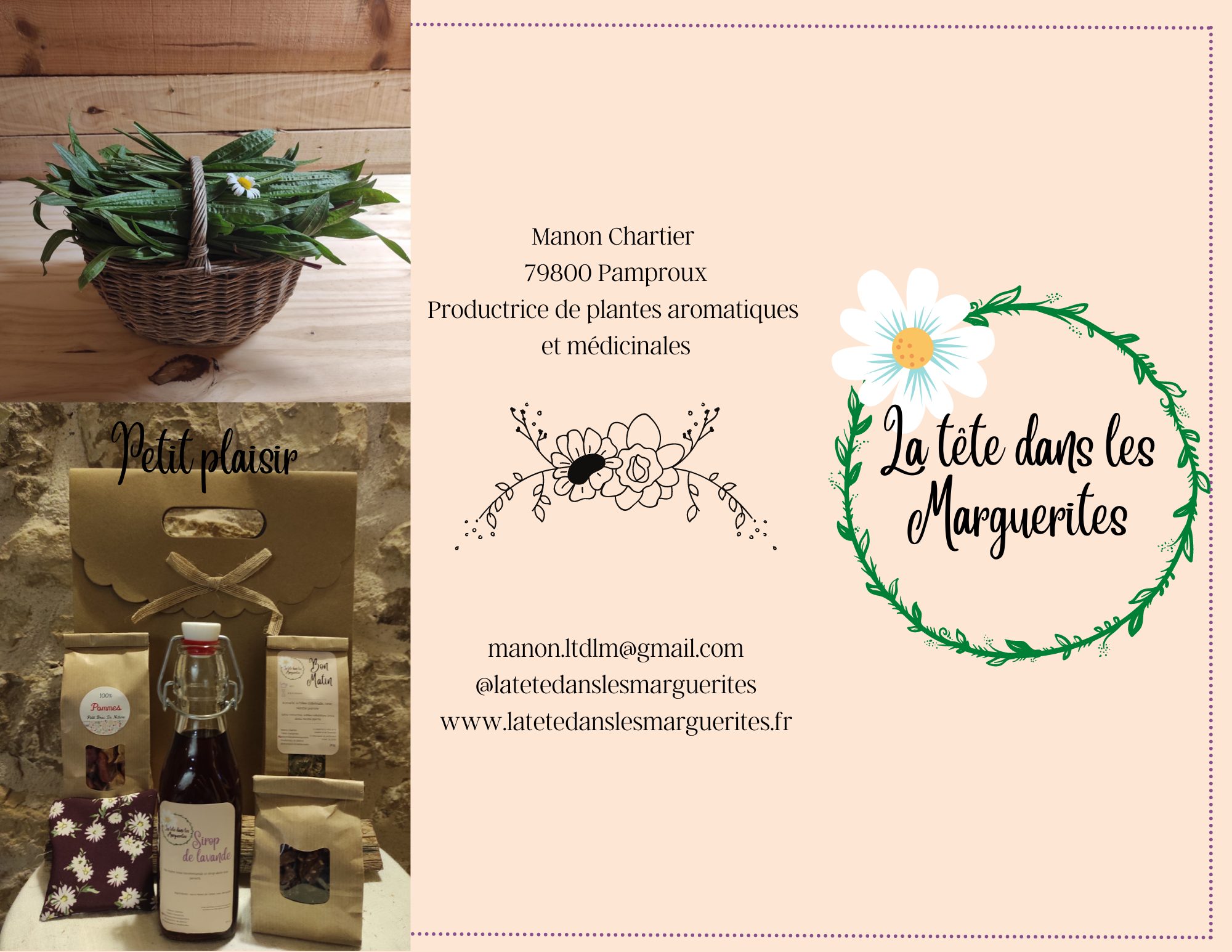 La Tête dans les Marguerites — photo 2